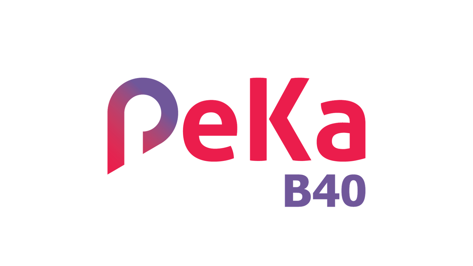 Panel PeKa B40